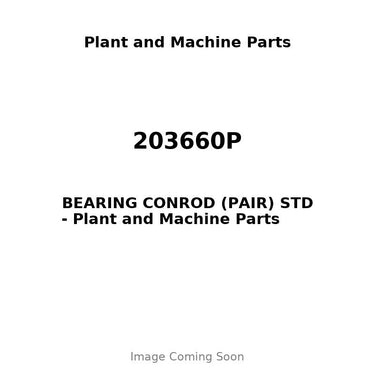203660P - BEARING CONROD (PAIR) STD