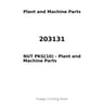 203131 - NUT PKG(10)