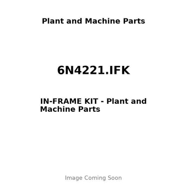 6N4221.IFK - IN-FRAME KIT