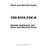 290-8456.EOK-B - ENGINE OVERHAUL KIT