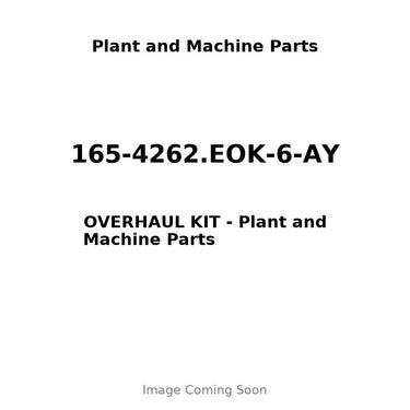 165-4262.EOK-6-AY - OVERHAUL KIT