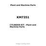 KM7351 - CYLINDER KIT
