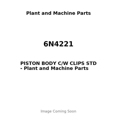 6N4221 - PISTON BODY C/W CLIPS STD
