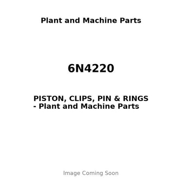 6N4220 - PISTON, CLIPS, PIN & RINGS