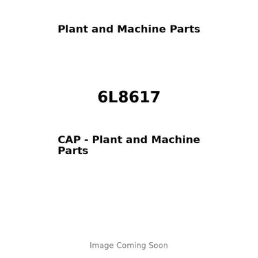 6L8617 - CAP