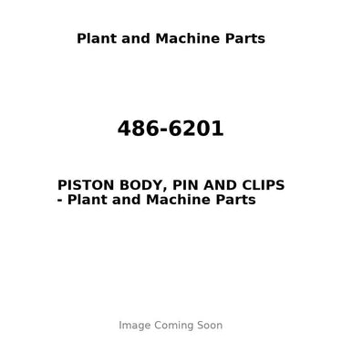 486-6201 - PISTON BODY, PIN AND CLIPS