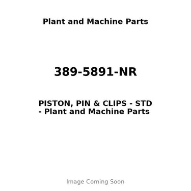 389-5891-NR - PISTON, PIN & CLIPS - STD