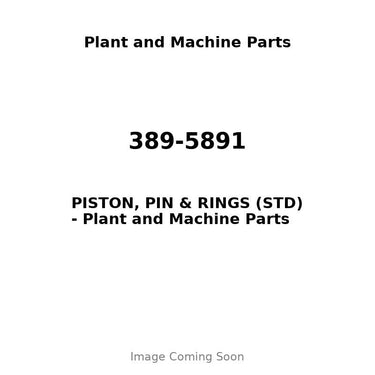 389-5891 - PISTON, PIN & RINGS (STD)