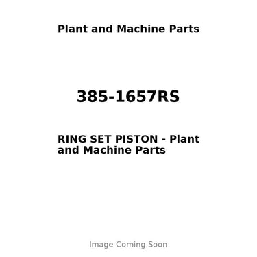 385-1657RS - RING SET PISTON