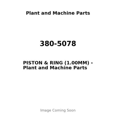 380-5078 - PISTON & RING (1.00MM)