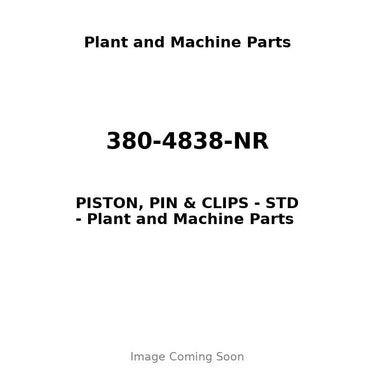 380-4838-NR - PISTON, PIN & CLIPS - STD