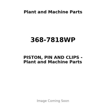 368-7818WP - PISTON, PIN AND CLIPS