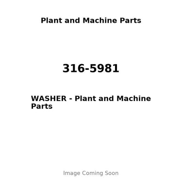 316-5981 - WASHER