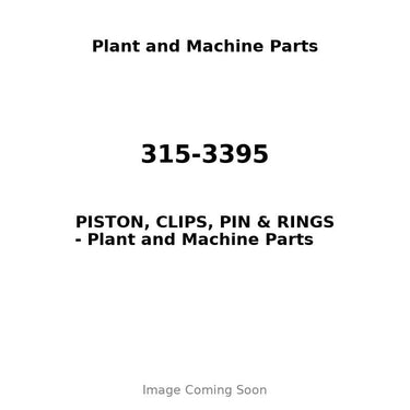 315-3395 - PISTON, CLIPS, PIN & RINGS