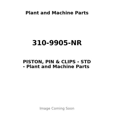 310-9905-NR - PISTON, PIN & CLIPS - STD