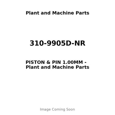 310-9905D-NR - PISTON & PIN 1.00MM