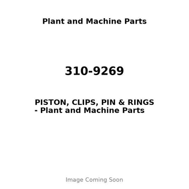 310-9269 - PISTON, CLIPS, PIN & RINGS