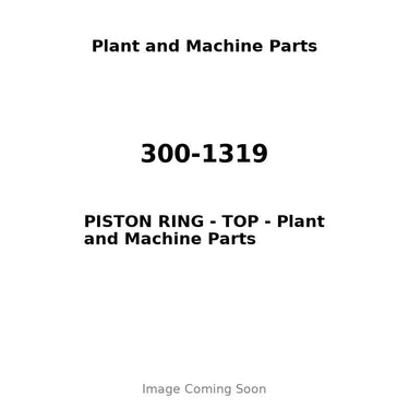 300-1319 - PISTON RING - TOP
