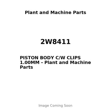 2W8411 - PISTON BODY C/W CLIPS 1.00MM