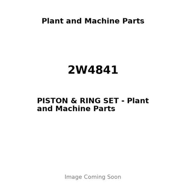 2W4841 - PISTON & RING SET