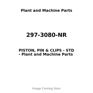 297-3080-NR - PISTON, PIN & CLIPS - STD
