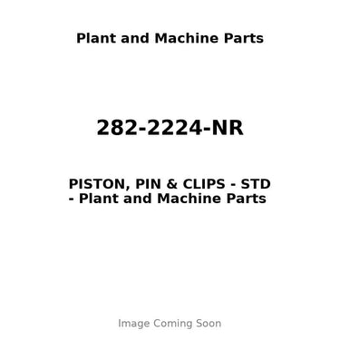 282-2224-NR - PISTON, PIN & CLIPS - STD