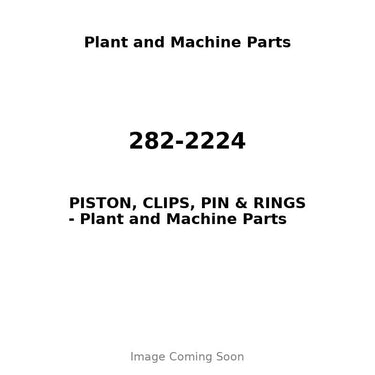 282-2224 - PISTON, CLIPS, PIN & RINGS