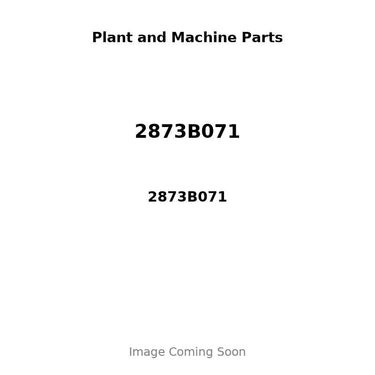 2873B071 - STARTER MOTOR: 12V, 2.8KW, 10T