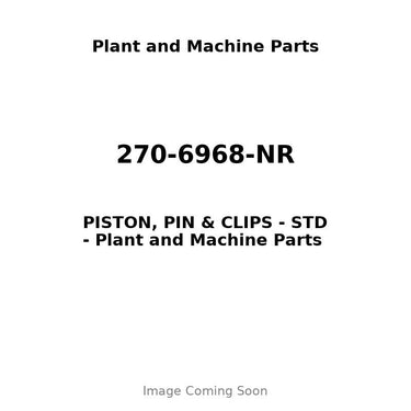 270-6968-NR - PISTON, PIN & CLIPS - STD