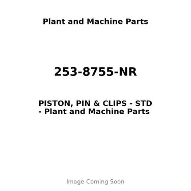 253-8755-NR - PISTON, PIN & CLIPS - STD