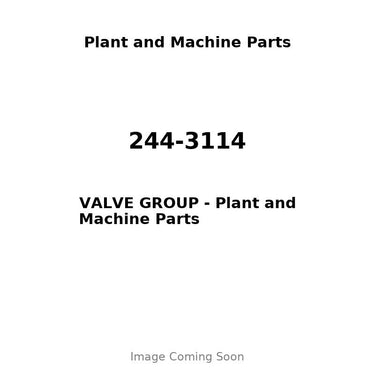 244-3114 - VALVE GROUP