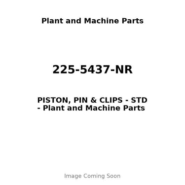 225-5437-NR - PISTON, PIN & CLIPS - STD