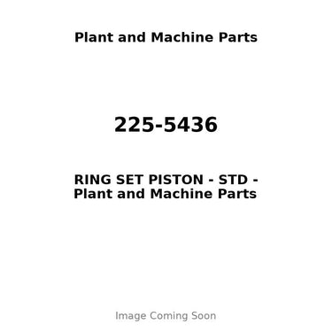 225-5436 - RING SET PISTON - STD