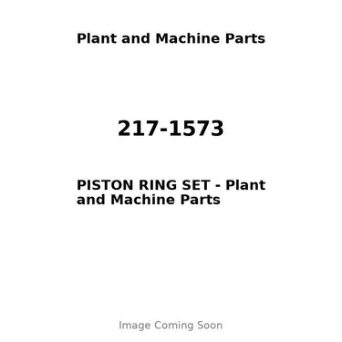 217-1573 - PISTON RING SET
