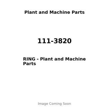 111-3820 - RING
