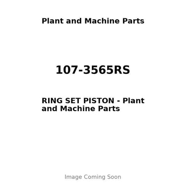 107-3565RS - RING SET PISTON