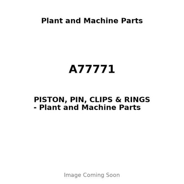 A77771 - PISTON, PIN, CLIPS & RINGS