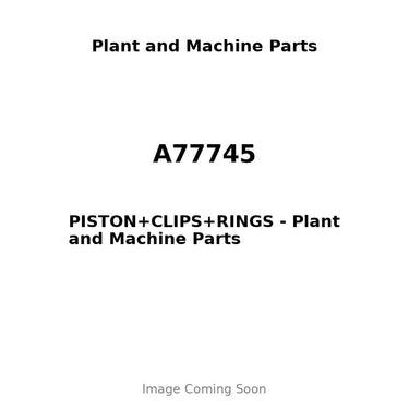 A77745 - PISTON+CLIPS+RINGS