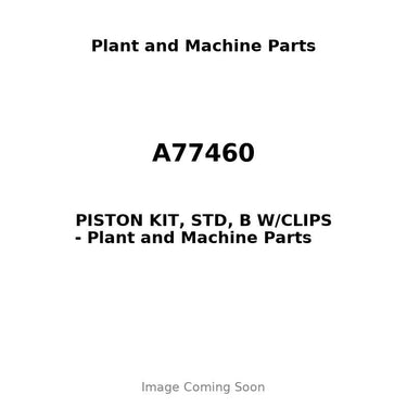 A77460 - PISTON KIT, STD, B W/CLIPS