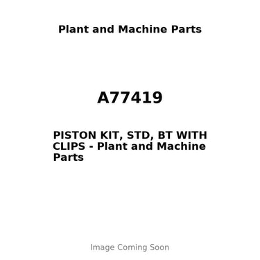 A77419 - PISTON KIT, STD, BT WITH CLIPS