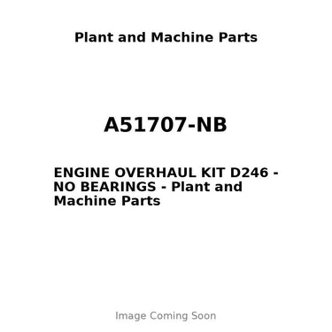 A51707-NB - ENGINE OVERHAUL KIT D246 - NO BEARINGS