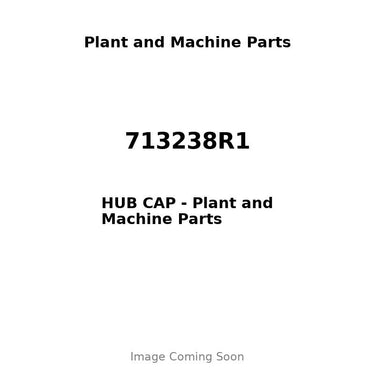 713238R1 - HUB CAP