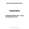 705833R91 - STARTER BRUSH SET