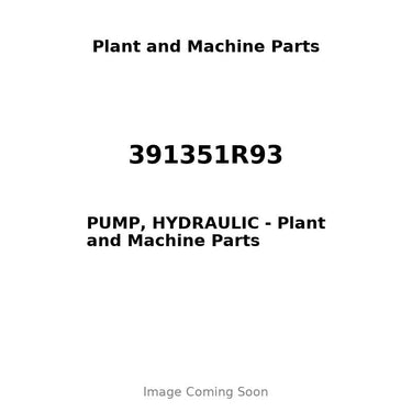 391351R93 - PUMP, HYDRAULIC