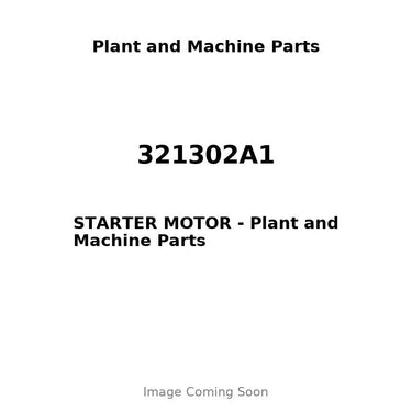 321302A1 - STARTER MOTOR