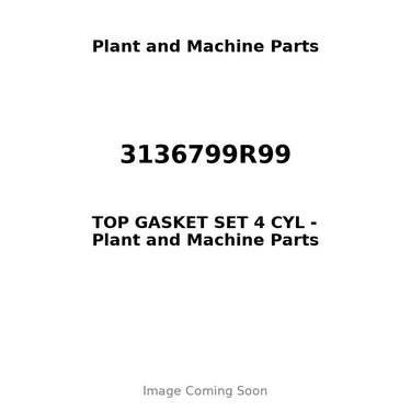 3136799R99 - TOP GASKET SET 4 CYL