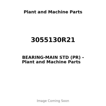 3055130R21 - BEARING-MAIN STD (PR)