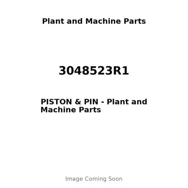 3048523R1 - PISTON & PIN