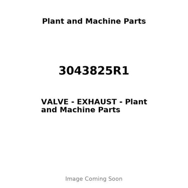 3043825R1 - VALVE - EXHAUST