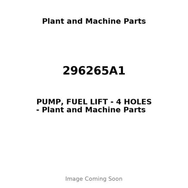 296265A1 - PUMP, FUEL LIFT - 4 HOLES